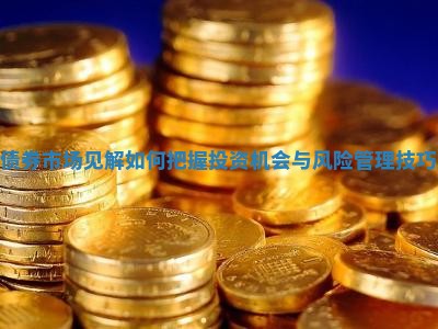 债券市场见解 如何把握投资机会与风险管理技巧