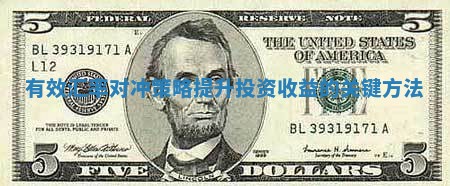 有效汇率对冲策略提升投资收益的关键方法