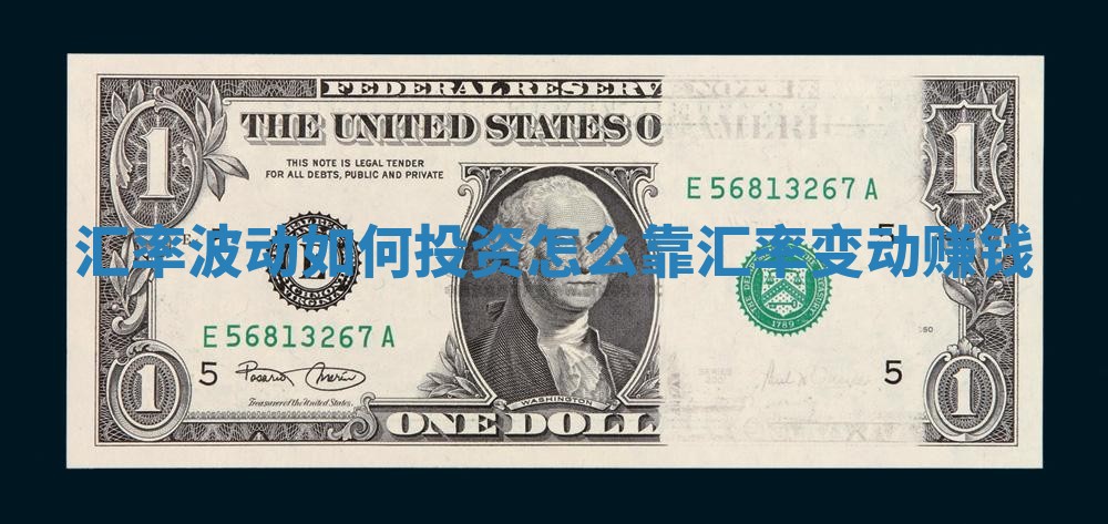 汇率波动如何投资_怎么靠汇率变动赚钱